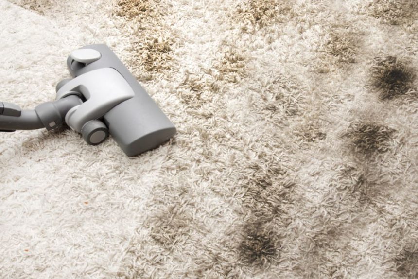 How To Clean Gross Carpets