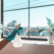 How Much Does Window Cleaning Cost