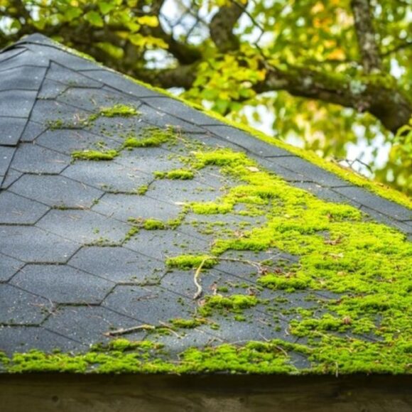 How To Clean Roof From Moss