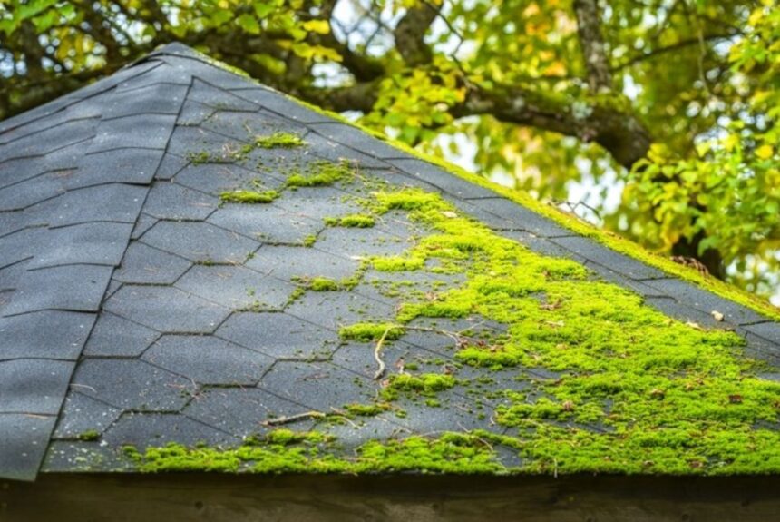 How To Clean Roof From Moss